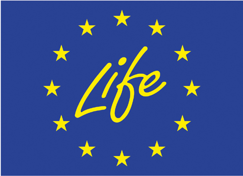 LIFE APEX